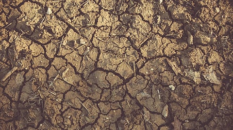Close-up of cracked, arid soil showing detailed textures and patterns, indicative of drought conditions