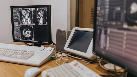body images on computer screen 