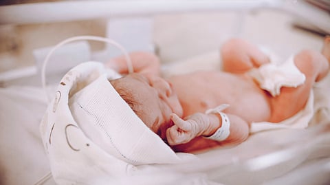 Premature baby in NICU