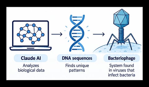 Claude AI CRISPR like Enzymes