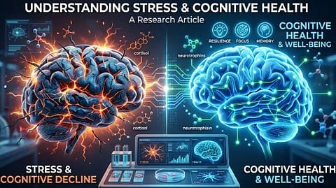 Creative illustration of two brains for reference purposes 