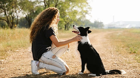 A girl petting a black and white dog.