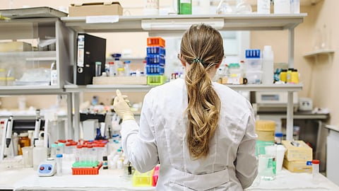 A female researcher working in laboratory