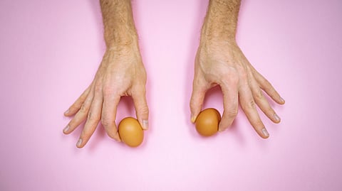 Two eggs signifying human testicles