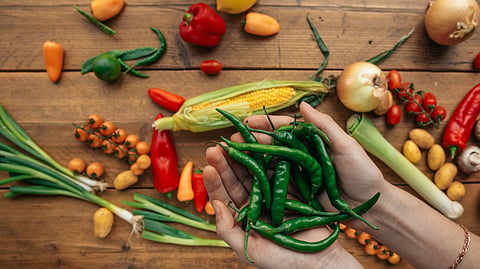 Hands holding fresh green chili peppers with assorted vegetables on wooden surface