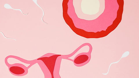 sperms swimming away from ovaries