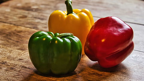 Tri-colored bell peppers on a rustic wooden surface, perfect for food and healthy eating themes