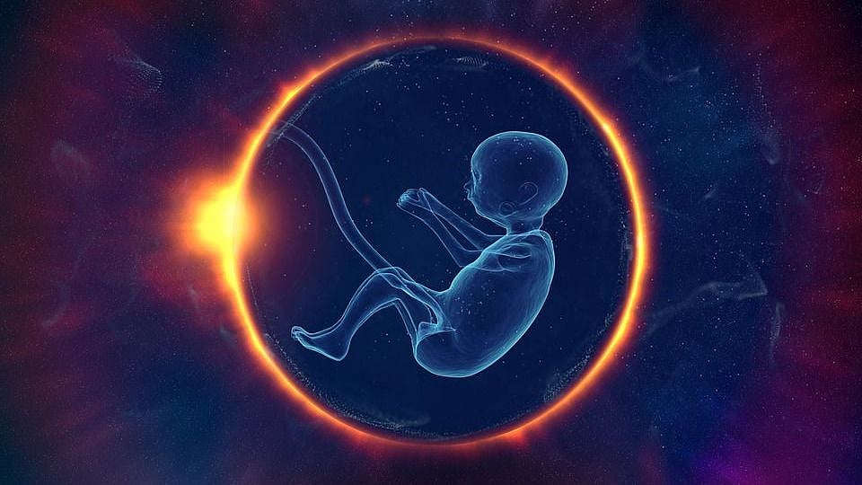 'Synthetic Embryo' Breakthrough but Growing Human Organs Far Off