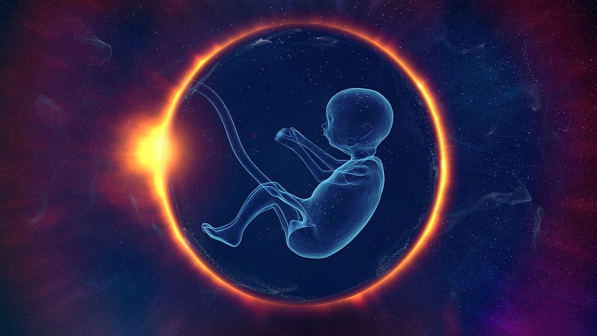 Gene plays important role in embryonic development