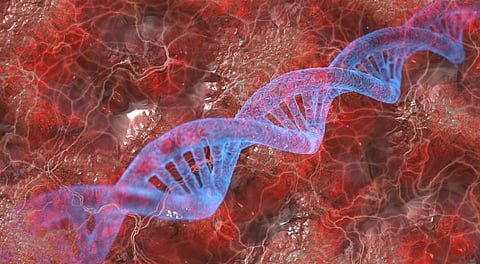 Enzymes:Key to understanding how DNA mutates
