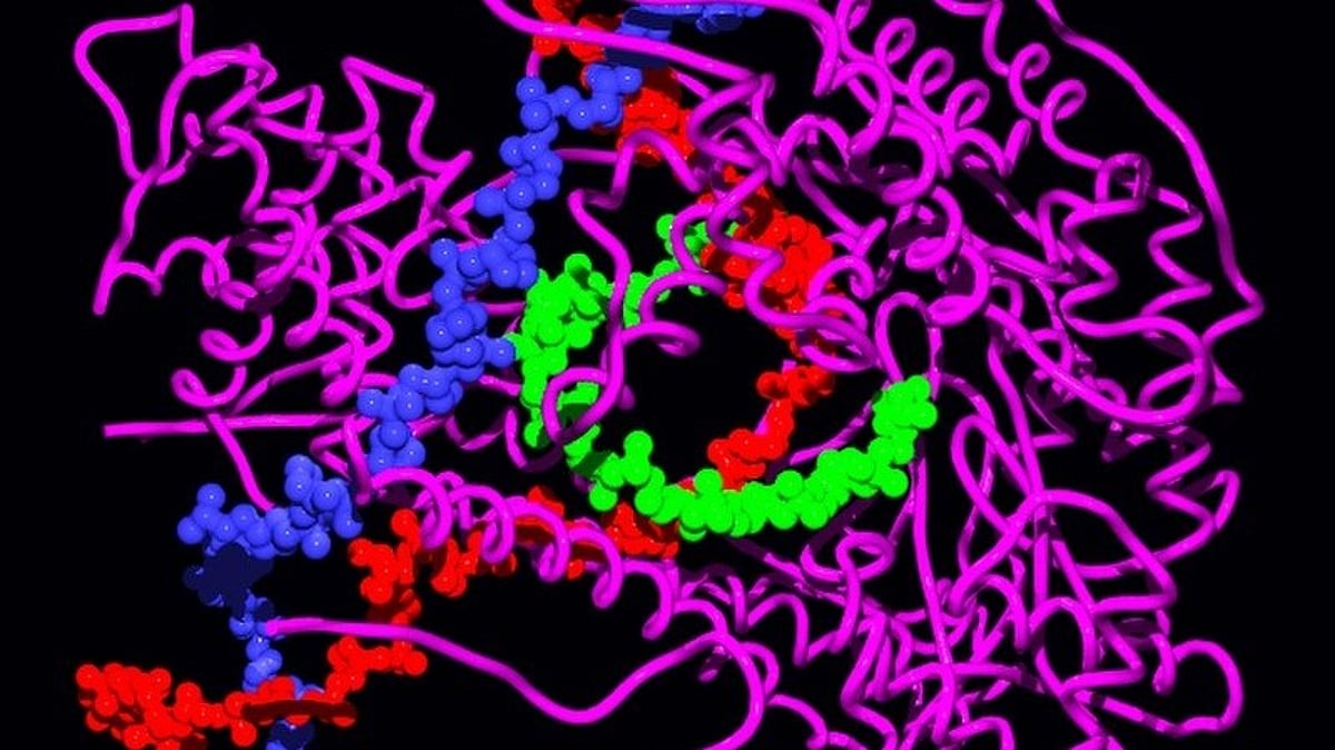 Reading out RNA structures in real time