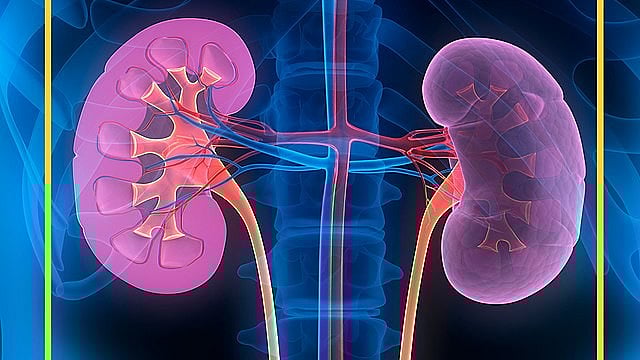 Woman Critical After Surgeon Allegedly Removes Wrong Kidney ...