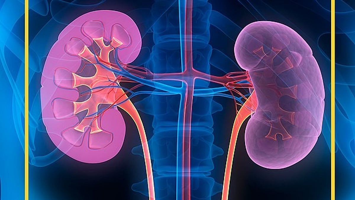 Woman Critical After Surgeon Allegedly Removes Wrong Kidney ...