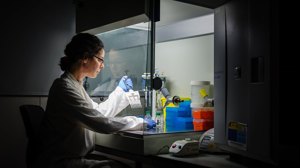 Quadruple Therapies and the Future of Multiple Myeloma Treatment