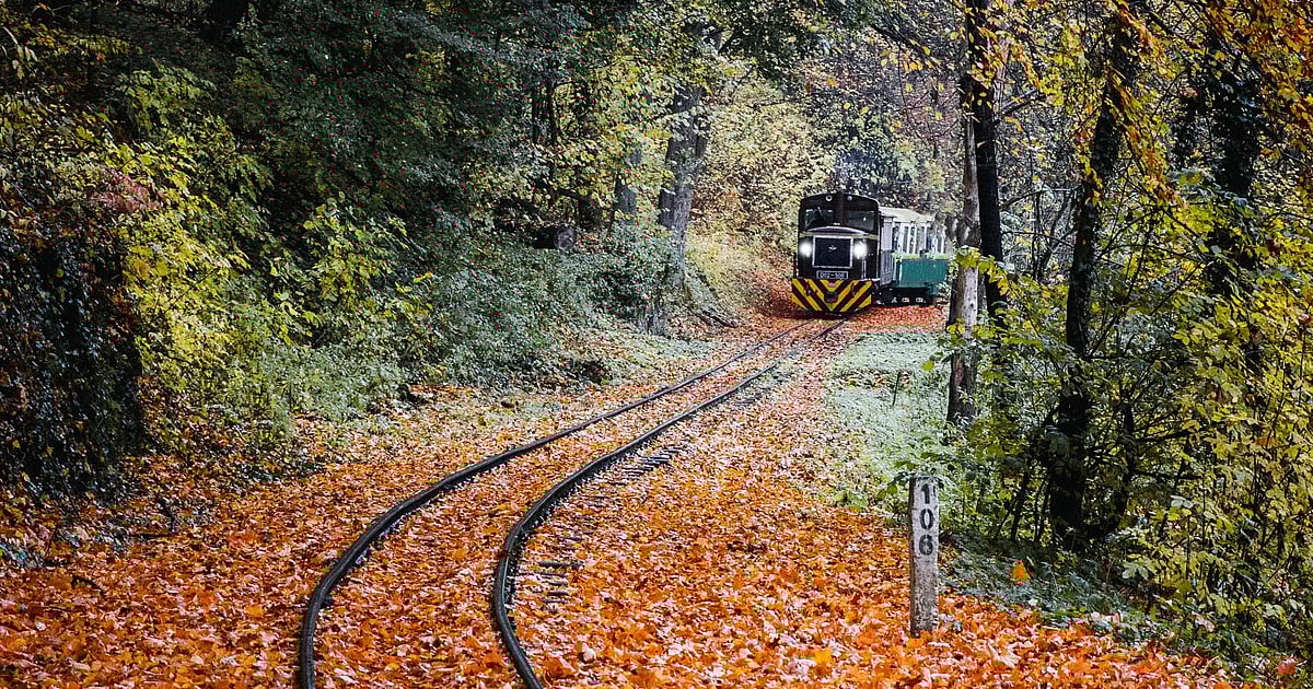 Tracks Of Hope And Despair: A Journey Of India’s Cancer Train