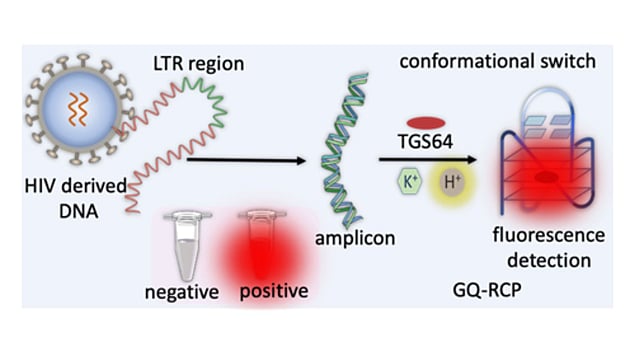 Targeted HIV Detection Revolutionised by GQ-RCP Technology