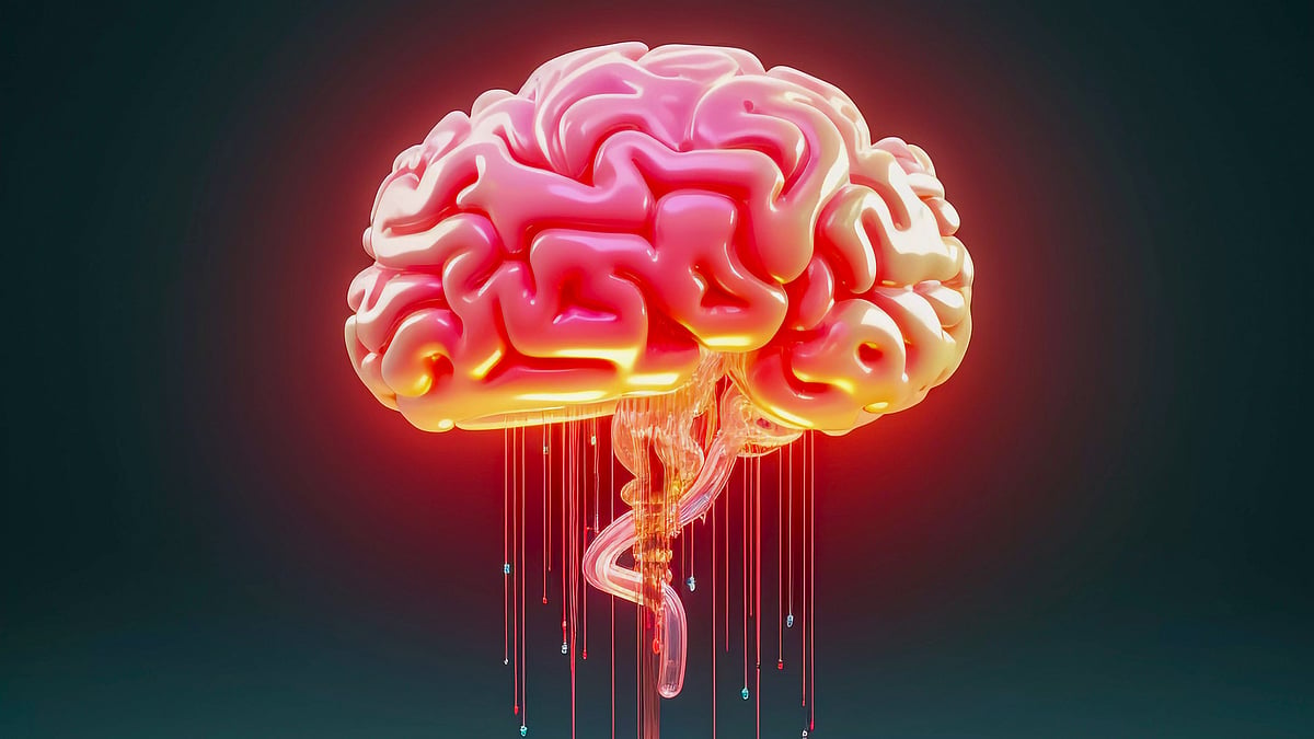 Unlocking The Black Box: Decoding The Human Brain