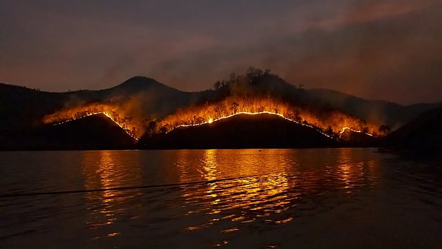 Remote Wildfire Smoke Across the U.S. Tied to Rise in Heart and Lung ...