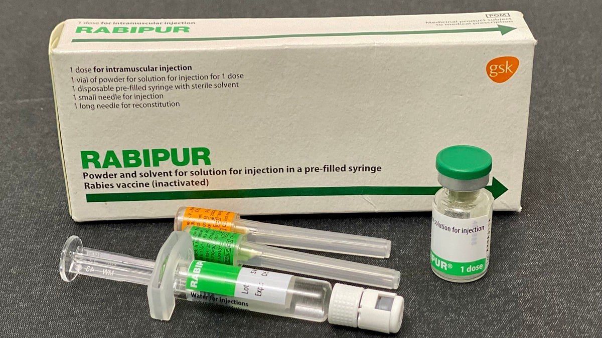 The Origin of the Rabies Vaccine