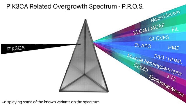 Mandy Sellars Living With PIK3CA Related Overgrowth Spectrum mandy-sellars-living-with-pik3ca-related-overgrowth-spectrum
