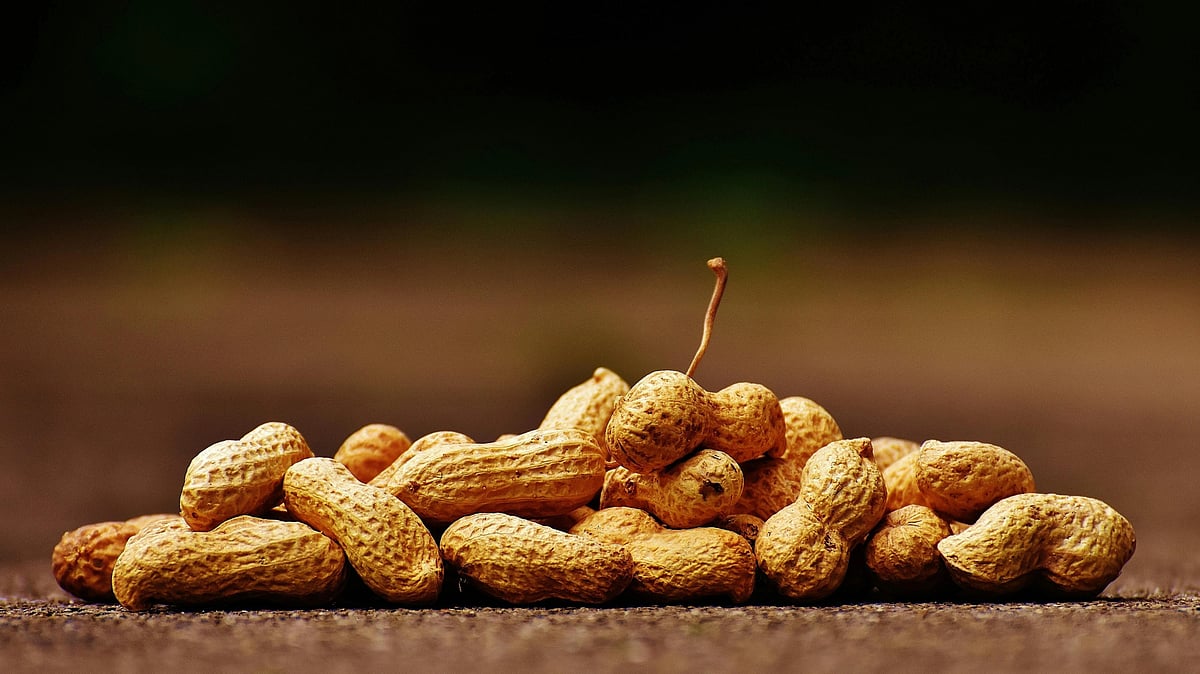 Peanuts and Cholesterol: Good or Bad for Heart Health?