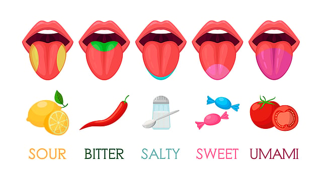 Ageusia Explained: Can Taste & Smell Training Help Restore Taste Loss?