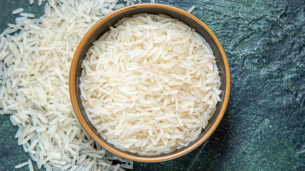 High-Protein Designer Rice Developed by Scientists to Tackle Diabetes