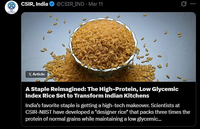 High-Protein Designer Rice Developed by Scientists to Tackle Diabetes