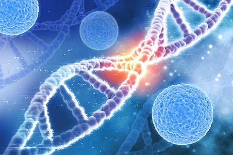 Genetic links to disease risk and treatment response