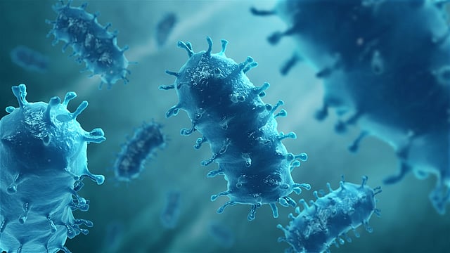 Cdc Rabies CDC Pauses Rabies, Mpox and other Viruses Testing Amid Staffing Crisis