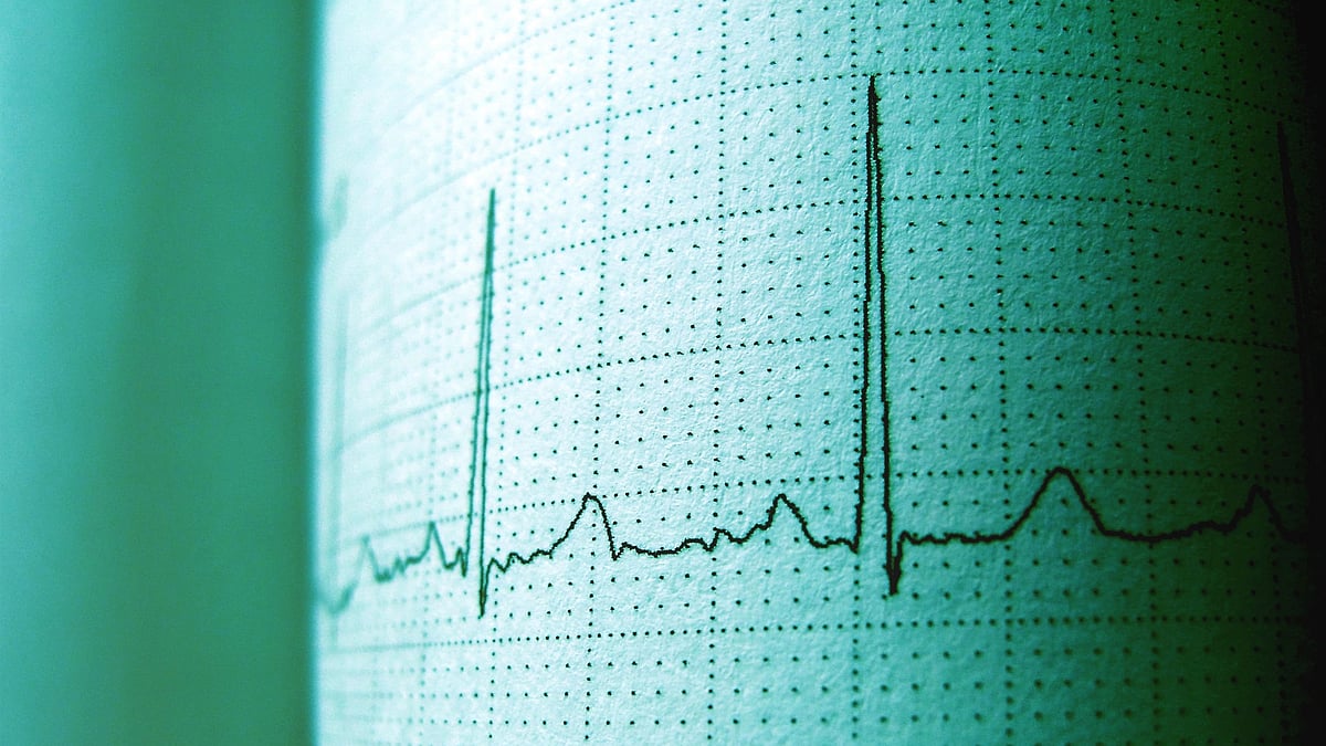 Study Reveals the Heart's “Little Brain” Is Vital for Survival