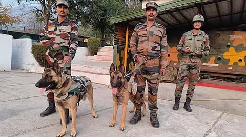 Here's everything about the Remount Veterinary Corps in Meerut