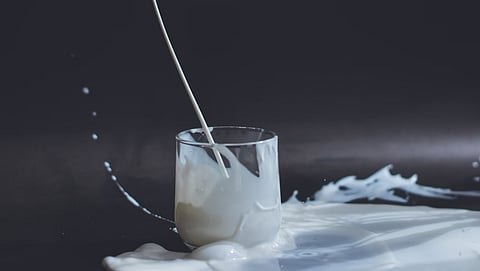 This World Milk Day, know about the leading milk brands in Meerut
