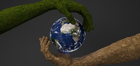 This World Environment Day, know about these 4 NGOs in Meerut