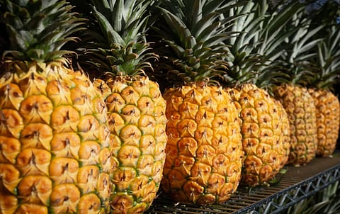 These 7 bakeries in Meerut serve delicious pineapple desserts