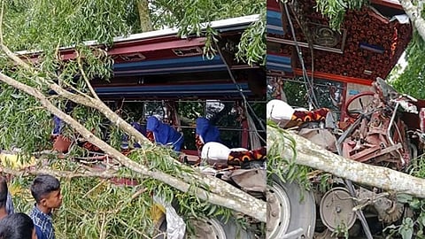 ছবি: সংগৃহীত &nbsp;