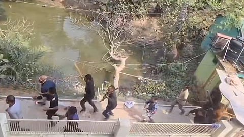 বিএনপির দুই গ্রুপের সংঘর্ষের ছবি