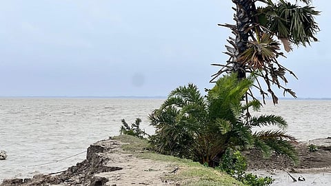 বেড়িবাঁধ ভেঙে পানিবন্দি ১০ হাজার পরিবার 
