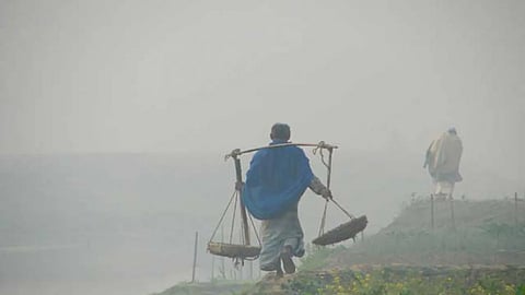 শৈত্যপ্রবাহ নেই, আরও কয়েকদিন থাকবে ঘন কুয়াশা