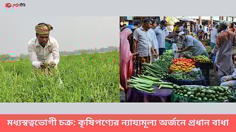 মধ্যস্বত্বভোগী চক্র: কৃষিপণ্যের ন্যায্যমূল্য অর্জনে প্রধান বাধা