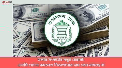 ডলার সংকটের নতুন চেহারা: এলসি খোলা কমলেও নিত্যপণ্যের দাম কেন নামছে না