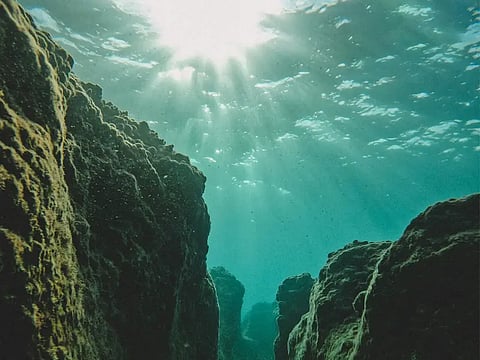 মেক্সিকোর তাম জা’ ব্লু হোল: মহাকাশেও অদৃশ্য, পৃথিবীর গভীরতম নীল গর্ত