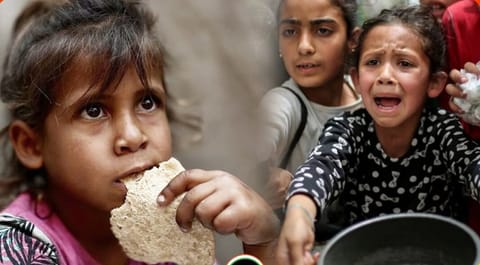 ভাত দে, নাহলে মানচিত্র খাবো: ক্ষুধার সেই আর্তনাদ কি আবার বিশ্ববাসীর বাস্তবতা হয়ে উঠছে?