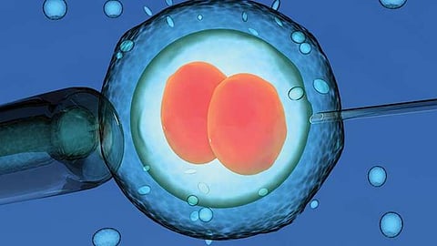 80,000 രൂപവരെ നൽകി വിദ്യാർഥികളുടെ ബീജം ശേഖരിക്കുന്നു; പുതിയ നീക്കവുമായി ചൈനയിലെ ക്ലിനിക്കുകൾ