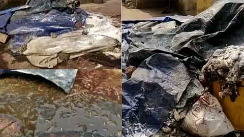 പുഴുവരിക്കുന്ന അറവുശാല മാലിന്യങ്ങൾ; പ്രതിസന്ധിയിലായി കോർപ്പറേഷൻ