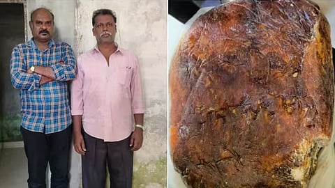 കോടികൾ വിലമതിക്കുന്ന തിമിംഗല ഛർദ്ദിലുമായി 2 പേർ അറസ്റ്റിൽ