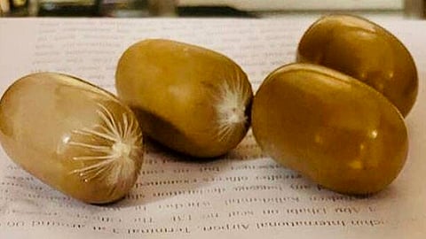 ഫയൽ ചിത്രം