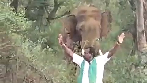 ആനയ്ക്കു മുന്നിൽ മുരുഗേശന്‍റെ അഭ്യാസം