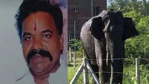 അരിക്കൊമ്പന്‍റെ പരാക്രമം: കമ്പത്ത് പരിക്കേറ്റയാൾ മരിച്ചു