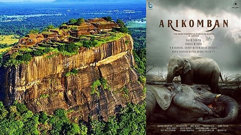 'അരിക്കൊമ്പന്‍റെ' ലൊക്കേഷൻ ശ്രീലങ്ക